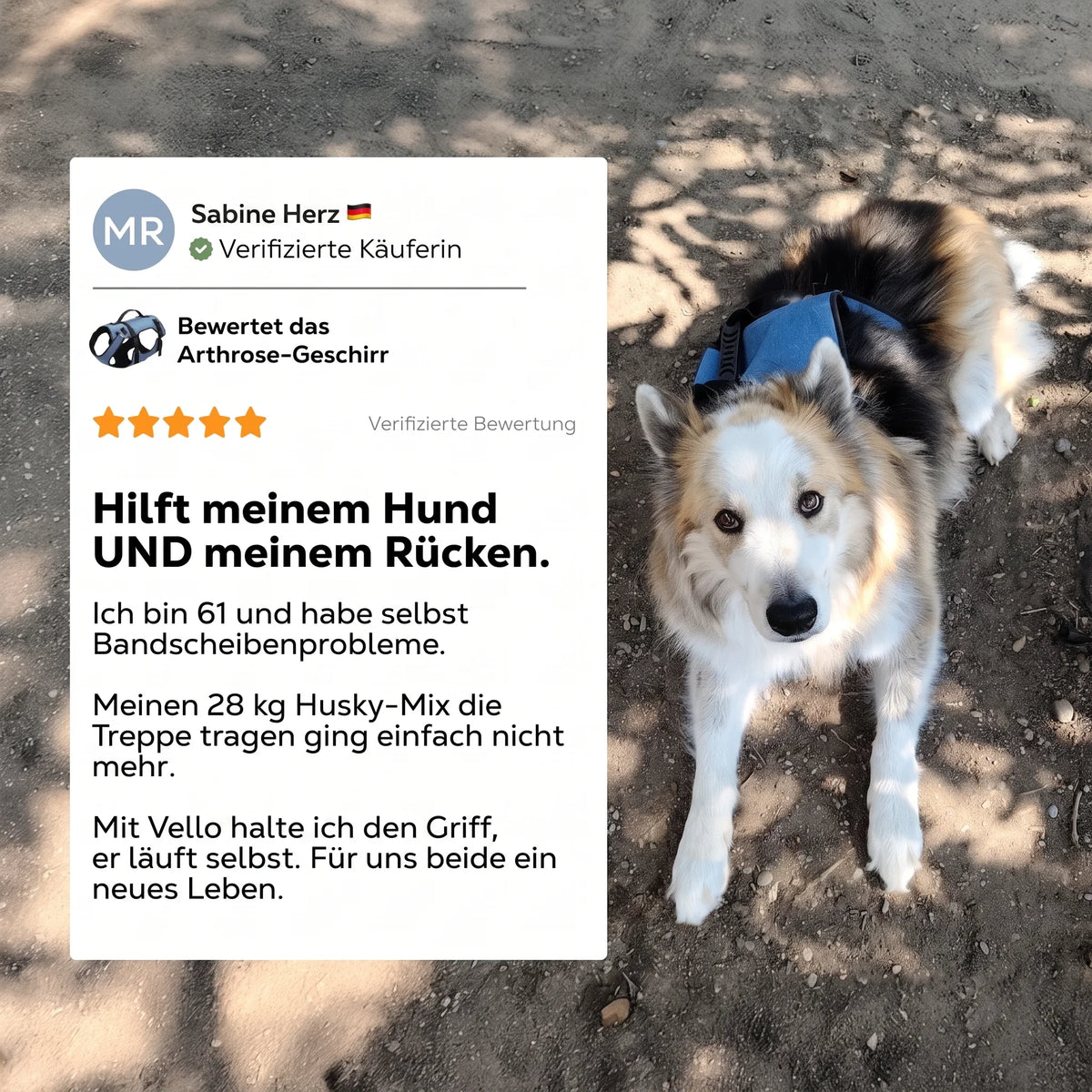 Vello Arthrose Mobilitätsgeschirr