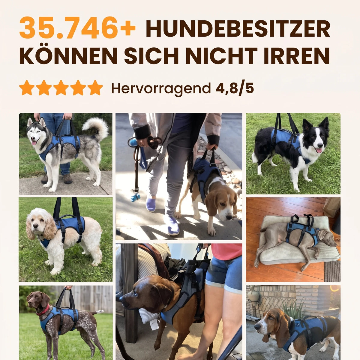 Vello Arthrose Mobilitätsgeschirr