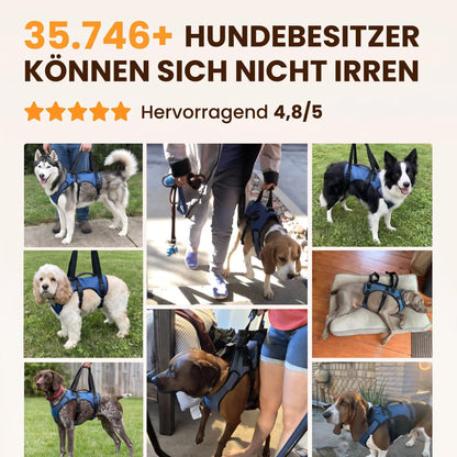 Vello Arthrose Mobilitätsgeschirr